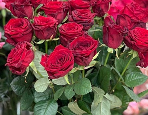 Свежие российские розы по выгодной цене от 99 руб!
