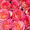 Букет из роз "Аромат любви"