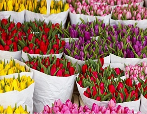 Условия доставки цветов 8 марта